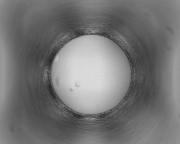 X0000113860169200909241033