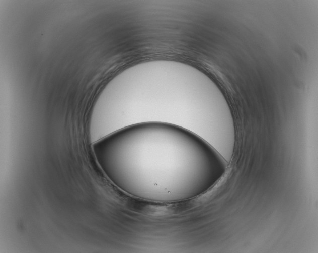 X0000113860170200909241033
