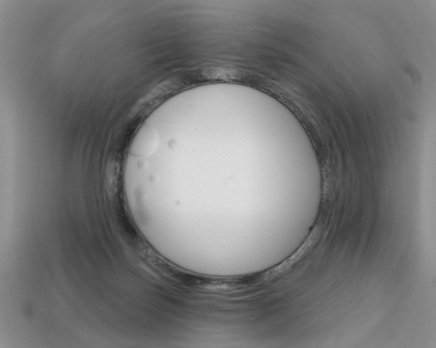 X0000113860171200909241033