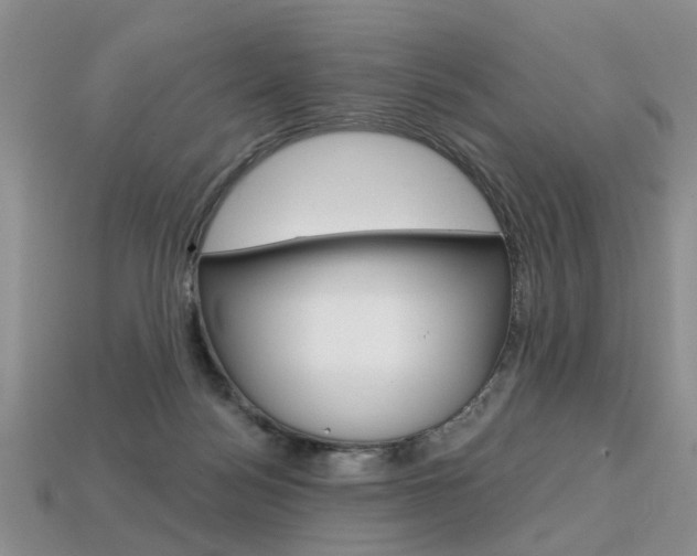 X0000113860172200909241033