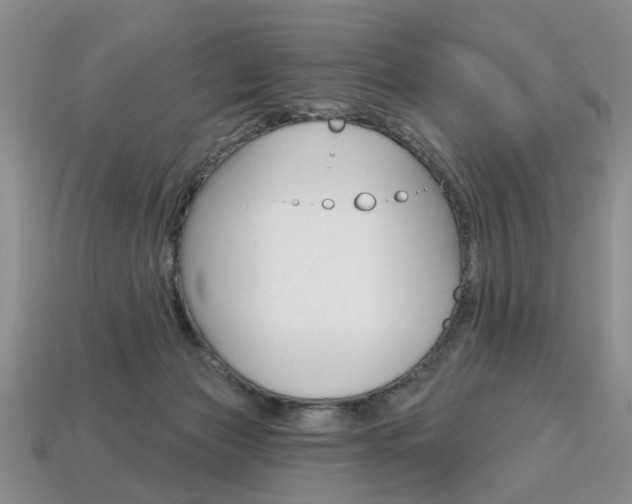 X0000113860173200909241033