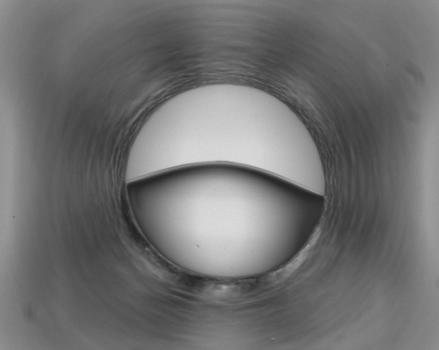X0000113860174200909241033
