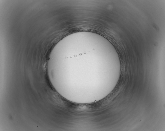 X0000113860177200909241033
