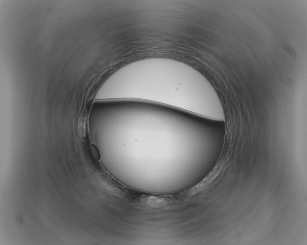 X0000113860180200909241033