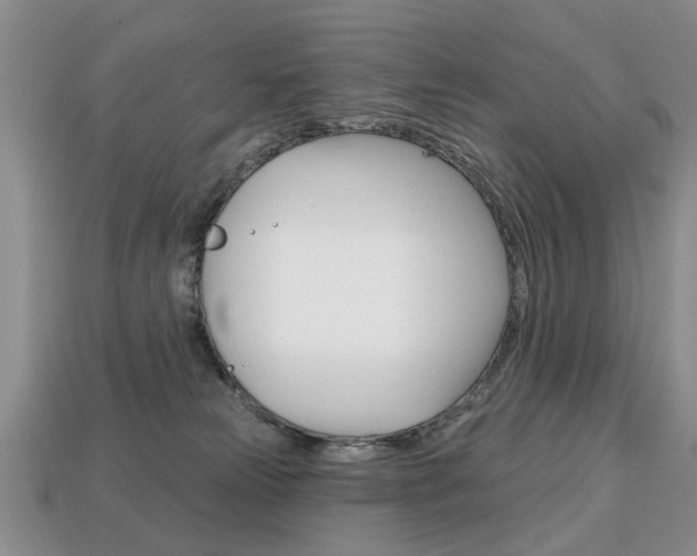 X0000113860181200909241033