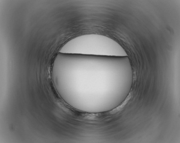 X0000113860182200909241033