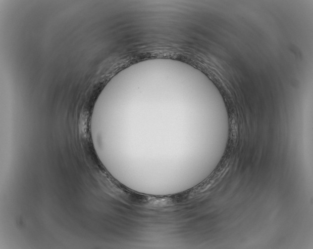 X0000113860185200909241033