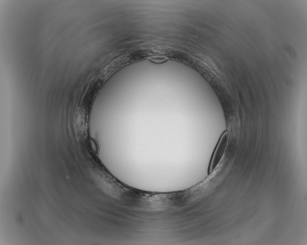 X0000113860186200909241033