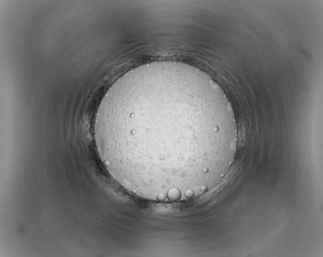 X0000113860187200909241033