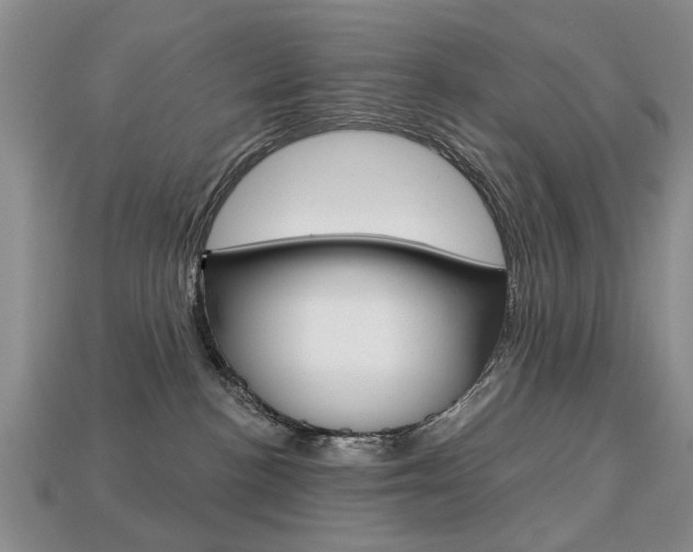 X0000113860188200909241033