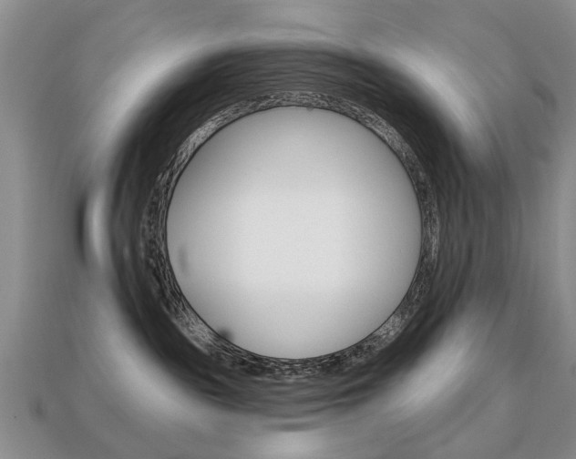 X0000113860189200909241033