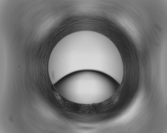 X0000113860190200909241033
