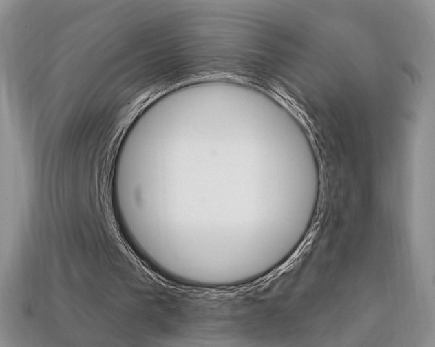 X0000113860193200909241032