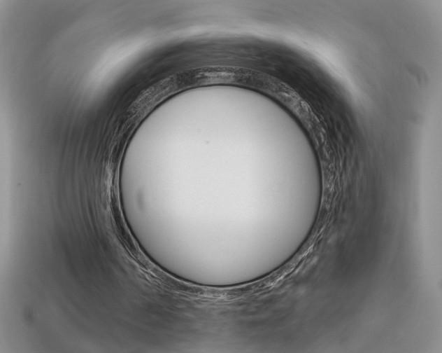 X0000113860194200909241032