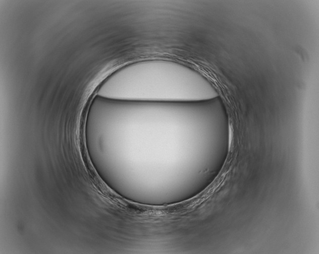X0000113860195200909241032