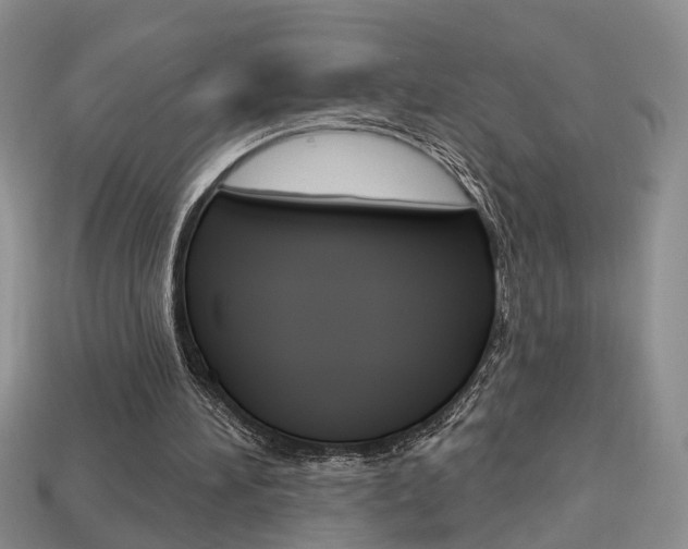 X0000113860196200909241032