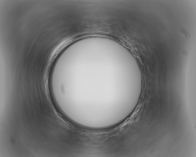 X0000113860197200909241032