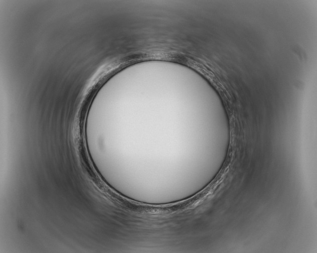 X0000113860198200909241032