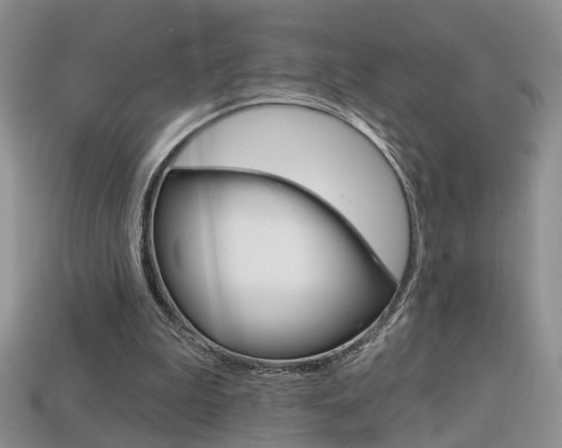 X0000113860199200909241032
