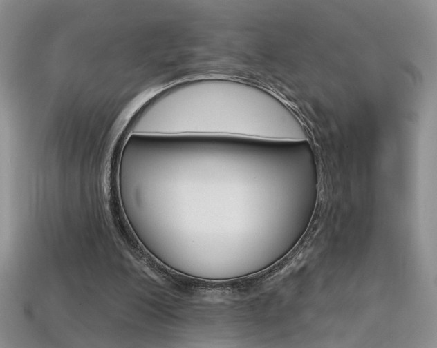 X0000113860200200909241032