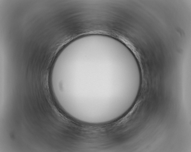 X0000113860201200909241032