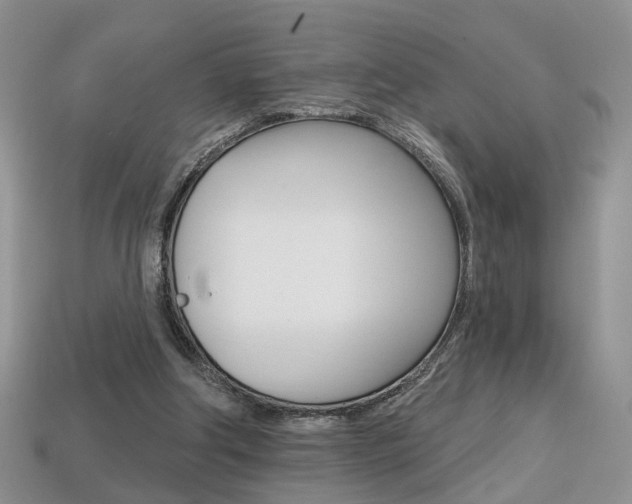 X0000113860202200909241032