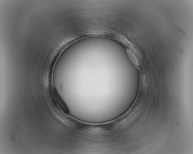 X0000113860203200909241032