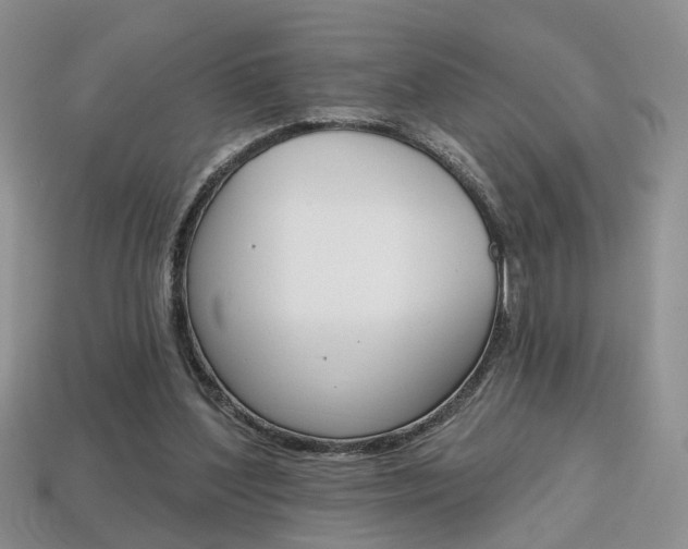 X0000113860204200909241032