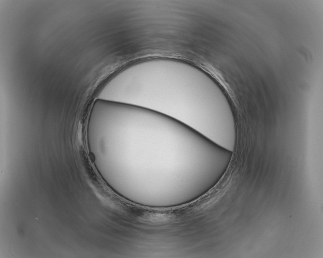 X0000113860205200909241032