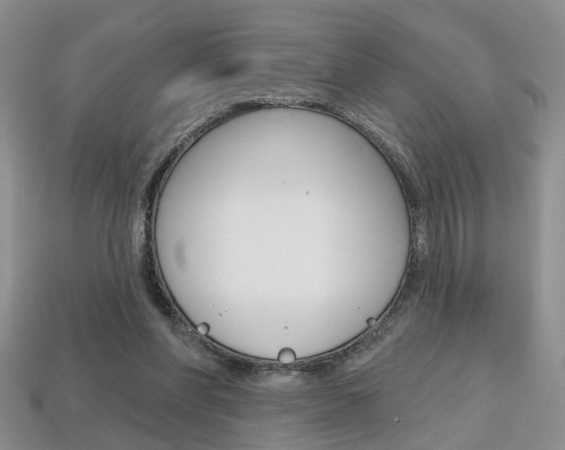 X0000113860206200909241032