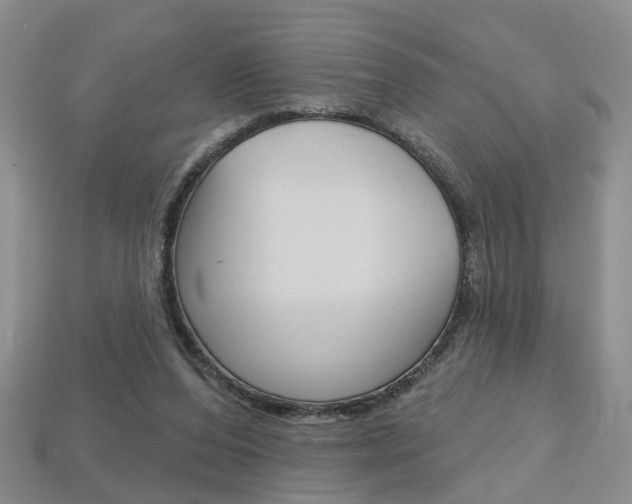 X0000113860208200909241032