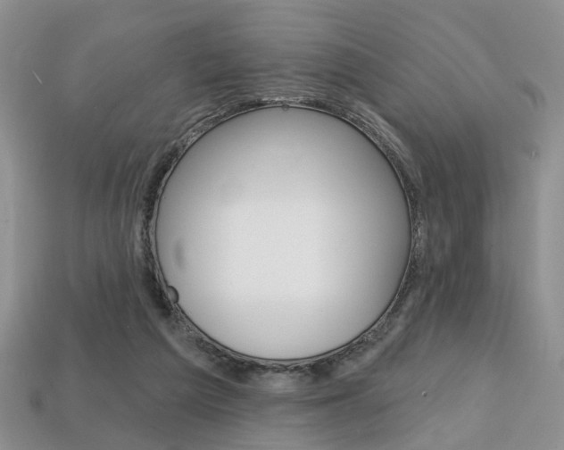 X0000113860209200909241032