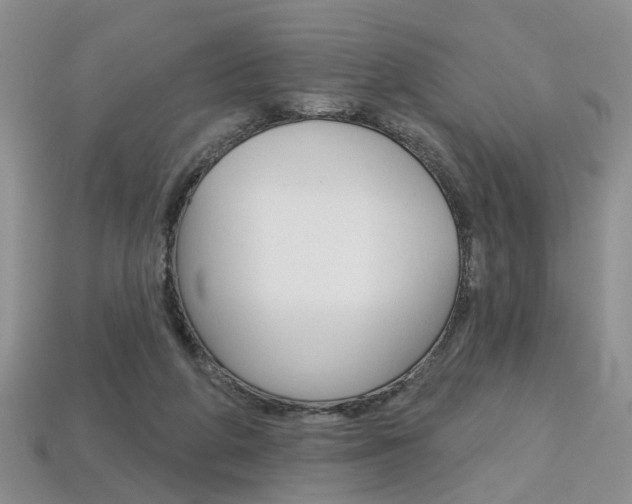 X0000113860210200909241032