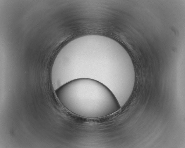 X0000113860211200909241032