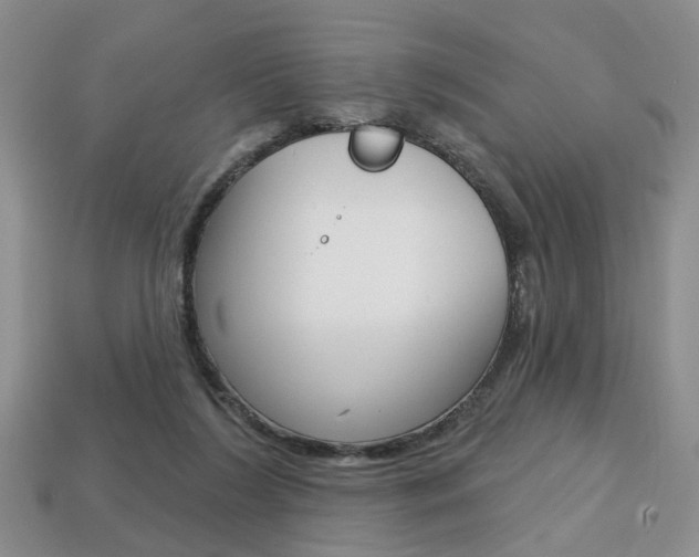 X0000113860212200909241032