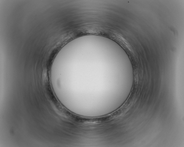 X0000113860213200909241032