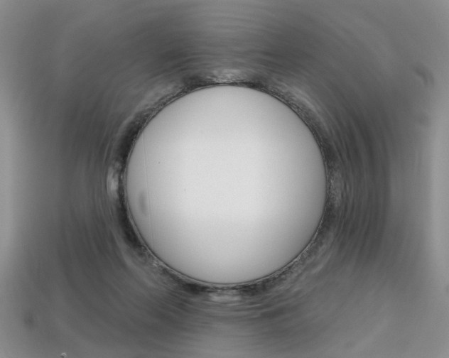 X0000113860214200909241032