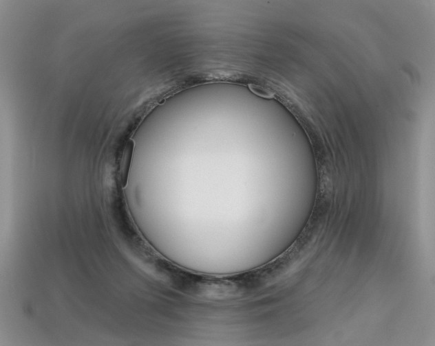 X0000113860215200909241032