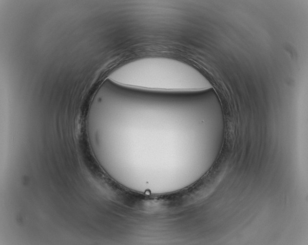 X0000113860216200909241032