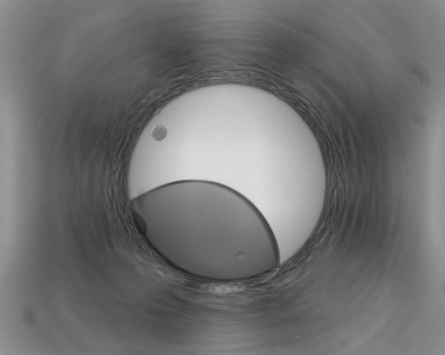 X0000113860223200909241032
