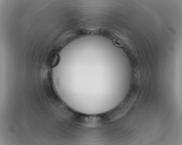 X0000113860225200909241032