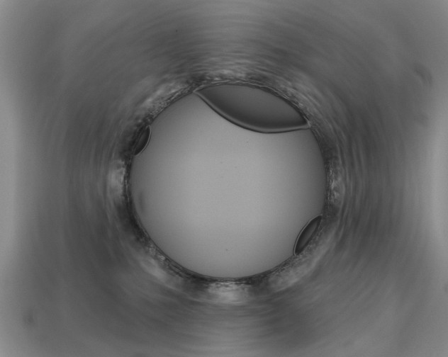 X0000113860231200909241032