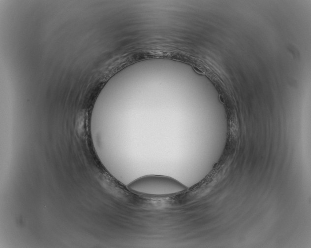 X0000113860233200909241032