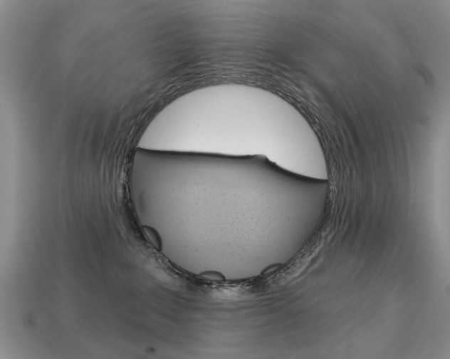 X0000113860235200909241032
