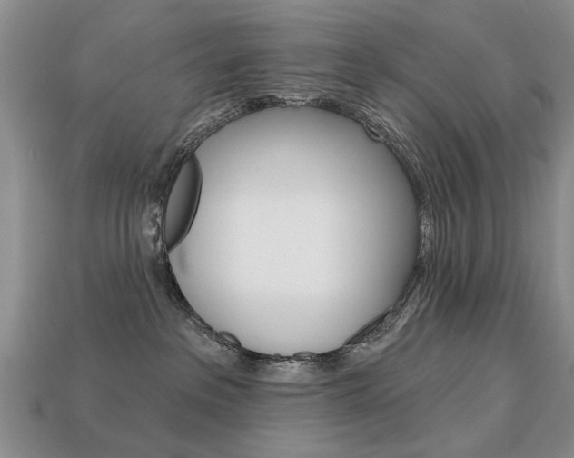 X0000113860237200909241032