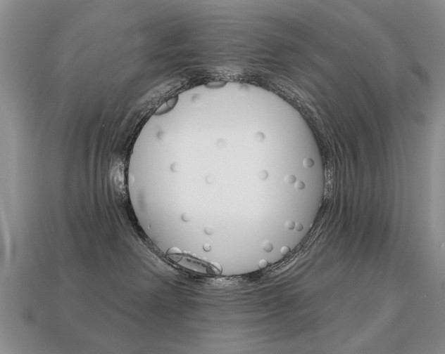 X0000113860238200909241032