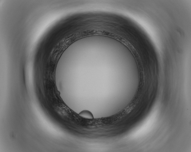 X0000113860239200909241032