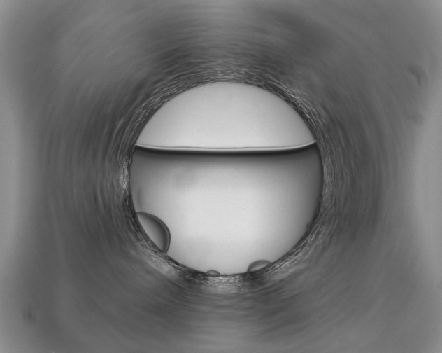 X0000113860240200909241032