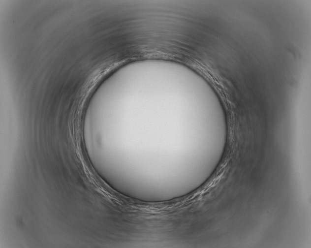 X0000113860241200909241031