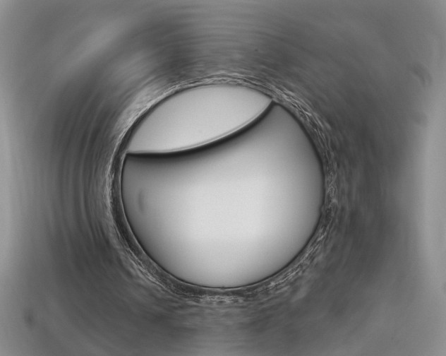 X0000113860242200909241031